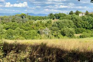 TER. AGRICOLO A ORTE