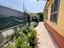 Immagine 10