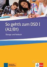 So geht's zum DSD I - ISBN 978-3126759755