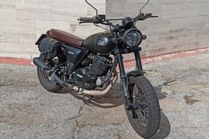 Mash Black Seven 250 - 2021