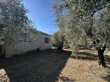 Terreno Agricolo Castel Sant'Elia
