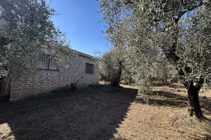 Terreno Agricolo Castel Sant'Elia