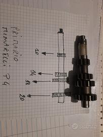 ingranaggio primario minarelli p4