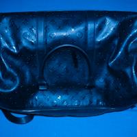  do BORSONE LV  x iPhone 