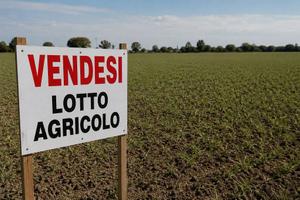 Terreno di 2060 m² a Desenzano del Garda