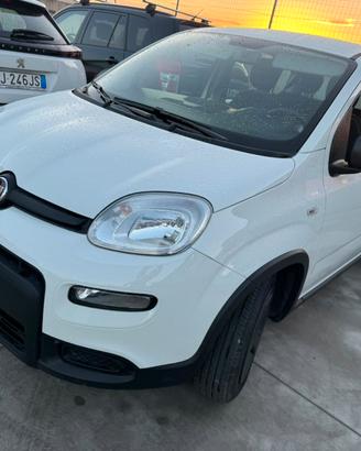 Fiat Panda Pandina 1.0 FireFly 65 CV Hybrid Pop