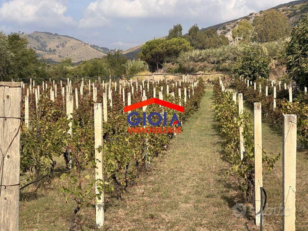 Terreno di 33000 m² a Mondragone - Vista 4