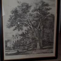 quadri AFT J.G. STRUTT BLACK POPLAR & J. G. Strutt