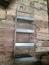 gabbia uccelli 