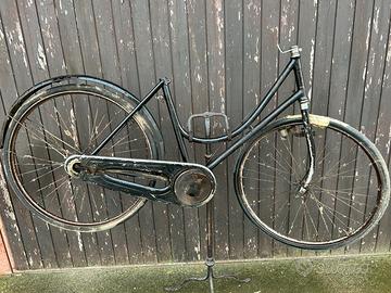 Bianchi suprema riquadro