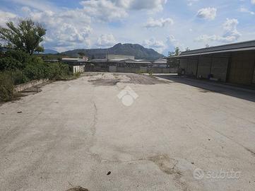DEPOSITO A CASSINO