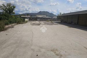 DEPOSITO A CASSINO