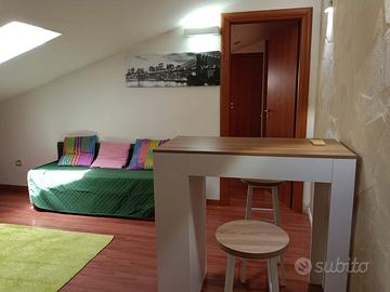 Mansarda zona Borromeo