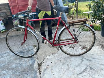 bicicletta colnago uomo