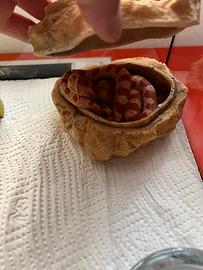 Baby serpente del grano