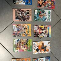 Libri one piece