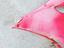 Immagine 11