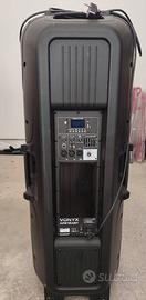 CASSA AMPLIFICATA 1200W "DUAL" CON 2 CONI DA