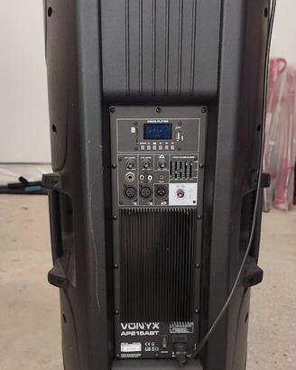 CASSA AMPLIFICATA 1200W "DUAL" CON 2 CONI DA