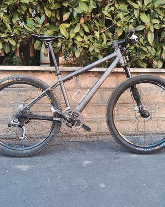 Cannondale F 1000