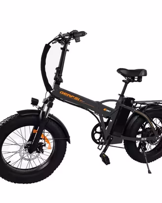 Bici elettrica  500 W
