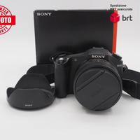 Sony RX10
