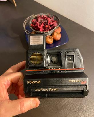 Polaroid