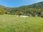 Immagine 18