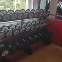 Manubri Tecnogym da 4 a 30 kg.