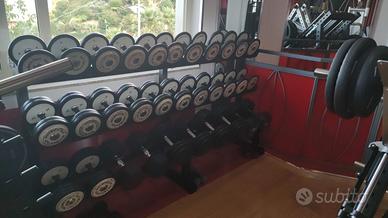 Manubri Tecnogym da 4 a 30 kg.