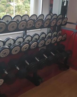 Manubri Tecnogym da 4 a 30 kg.