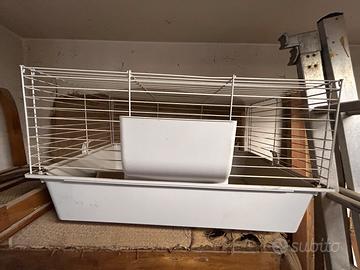 Gabbia conigli