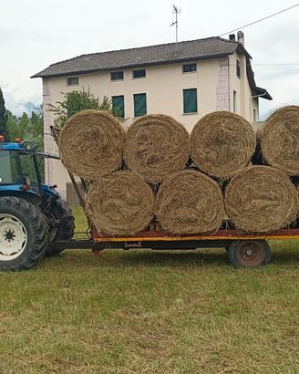 Fieno 1°taglio2025
