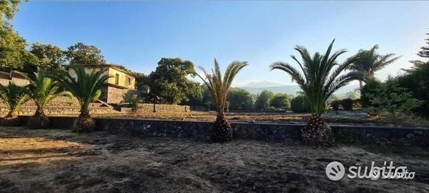 Terreno 15.000mq con fabbricati a Piedimonte Etneo