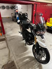 Triumph Tiger 800 - 2014