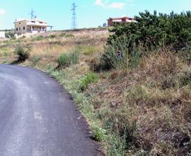 Terreno agricolo Fiumaretta Civitavecchia