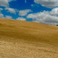 Azienda agricola in regime di biologico