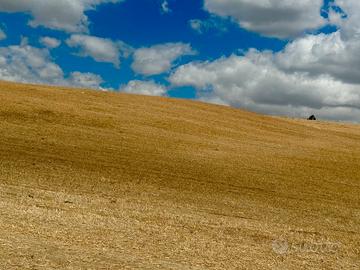 Azienda agricola in regime di biologico
