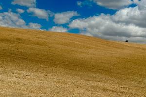 Azienda agricola in regime di biologico