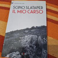 il mio Carso Biblioteca degli Alpini romanzo 
