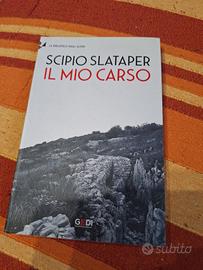 il mio Carso Biblioteca degli Alpini romanzo 