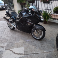 Cbr 1100 xx iniezione