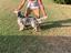 Immagine 5