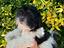 Immagine 3