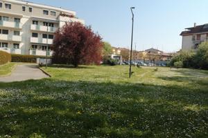 Trilocale via Castelleone