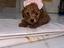 Immagine 5