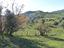Immagine 19
