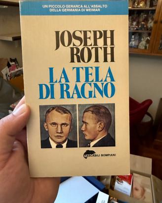 La tela di ragno