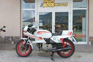 Ducati Pantah 600