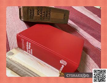 Zingarelli Dizionario ITALIANO --- come NuoVO-